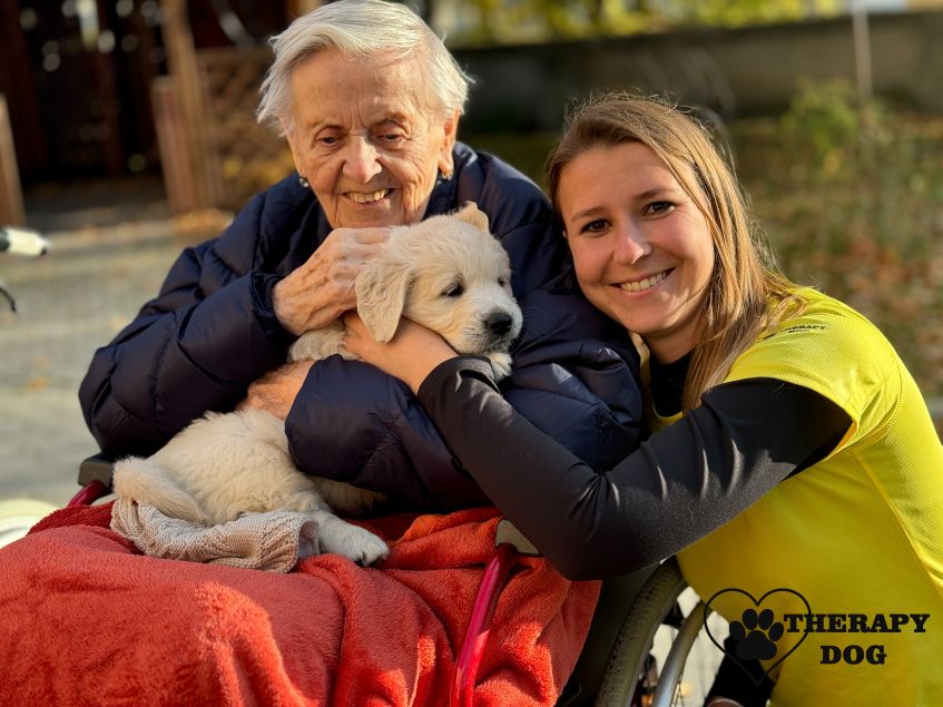 caniska hostim therapy dog 035