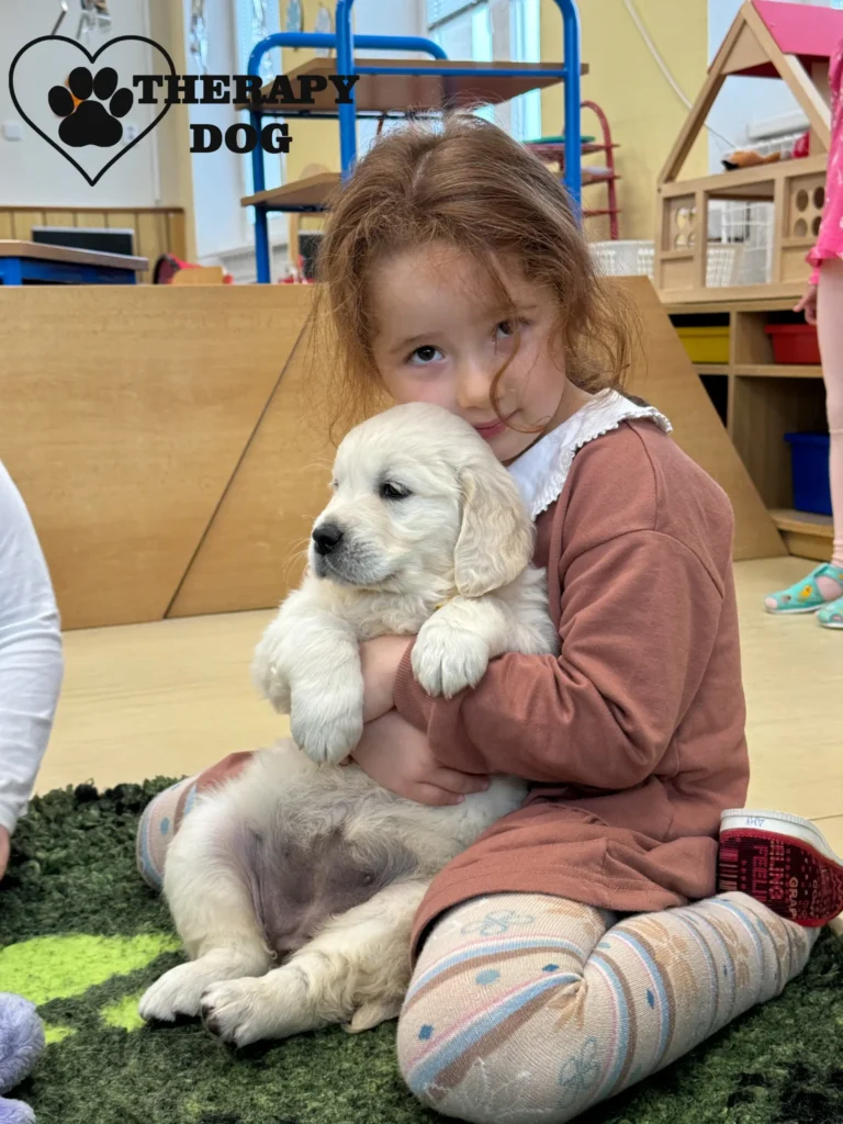 puppy terapie caniska cz 10 scaled