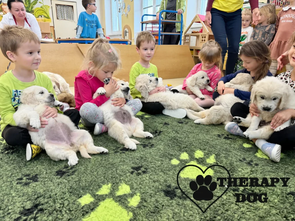 puppy terapie caniska cz 3 scaled