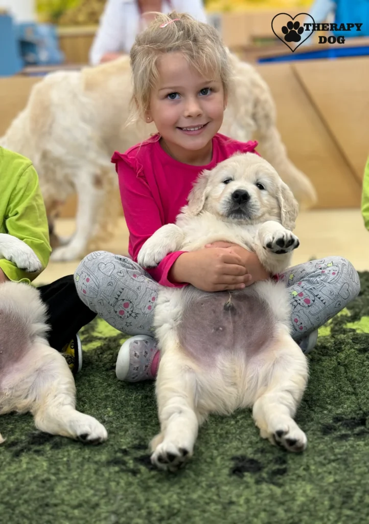 puppy terapie caniska cz 4 scaled