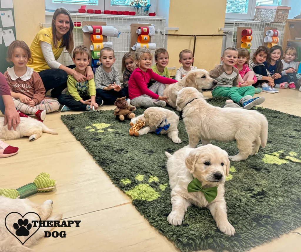 puppy terapie caniska cz scaled